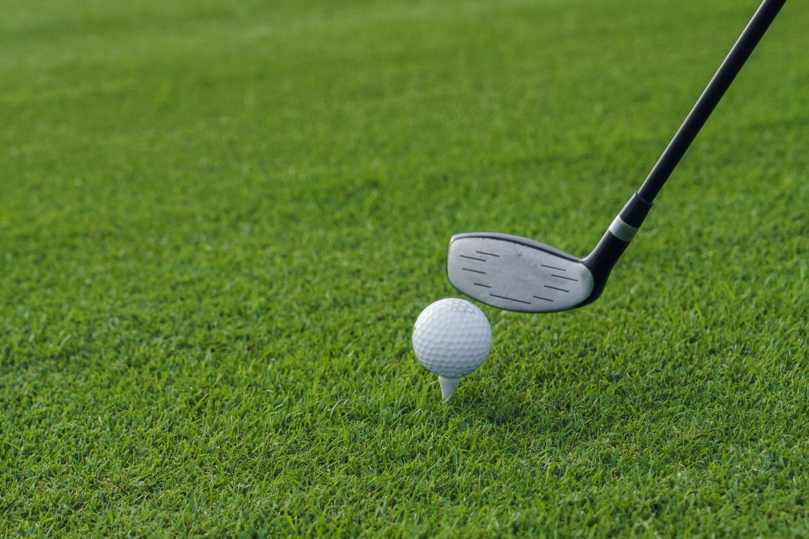 Golfball und Schläger auf dem Grün bei Benalmádena