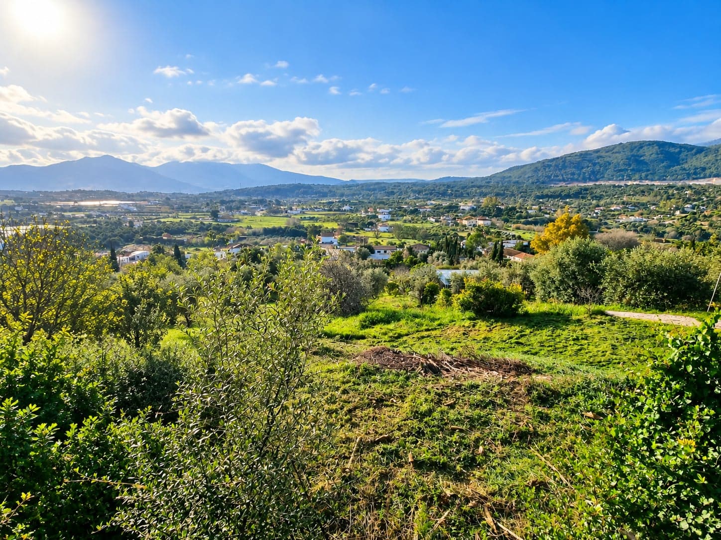 Panoramablick auf das grüne Hinterland bei Coín