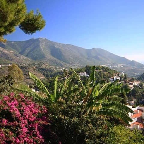Coín