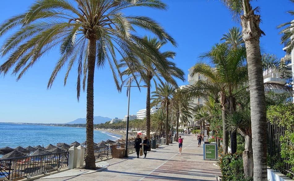 Palmengesäumte Strandpromenade von Marbella