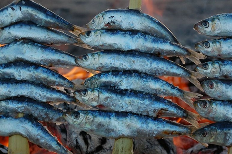 sardines-malaga-rightcasa