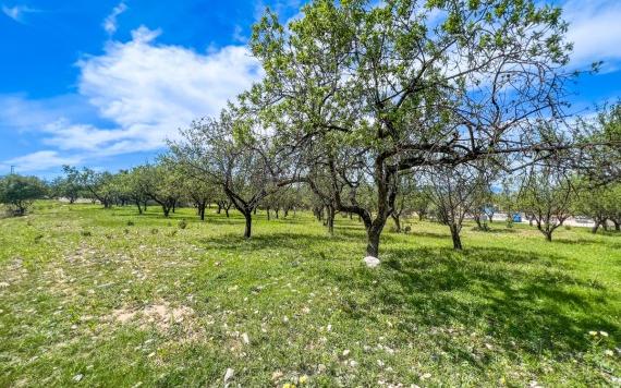 Right Casa Estate Agents Are Selling Large plot of land of 2547,50m2 in Alhaurin el Grande.