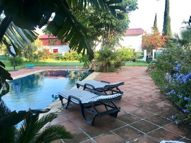 garden and pool